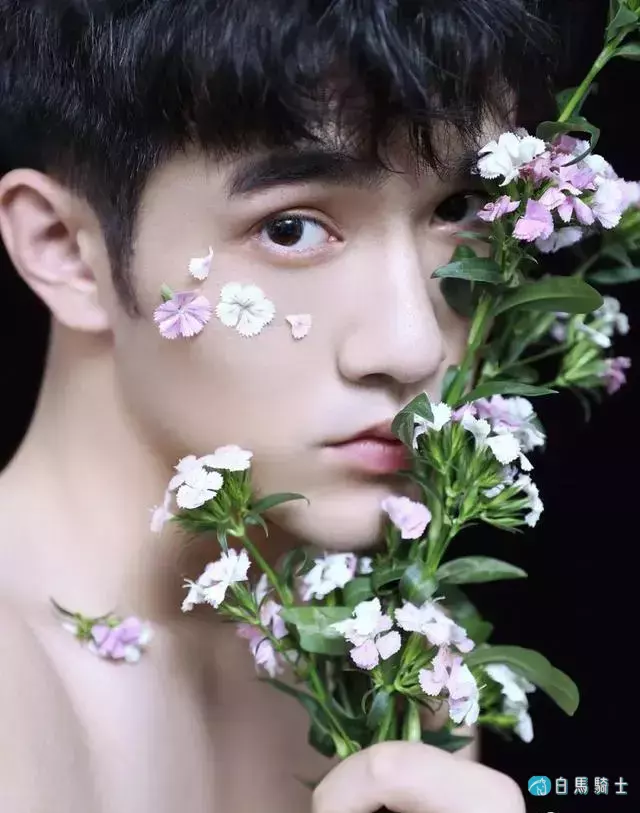 石竹花+白皙薄肌男,这份柔美你爱不? 石竹花+白皙薄肌男,这份柔美你爱不?